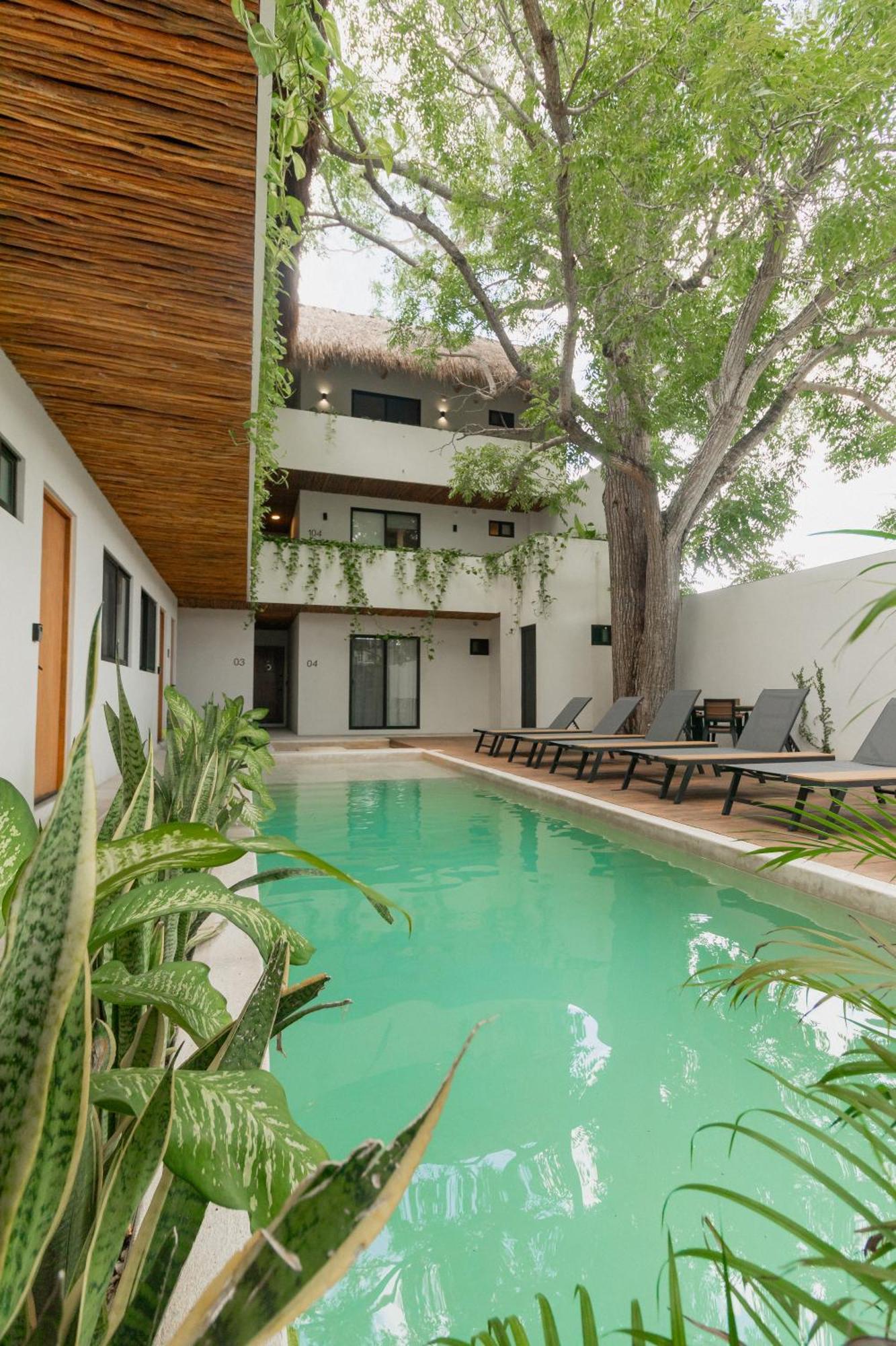 Cozy Apartment With Pool In Bacalar Center Exterior photo